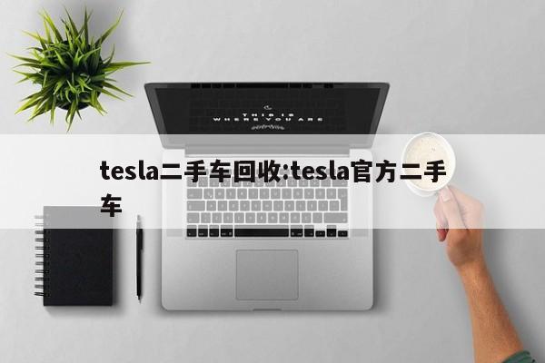 tesla二手车回收:tesla官方二手车